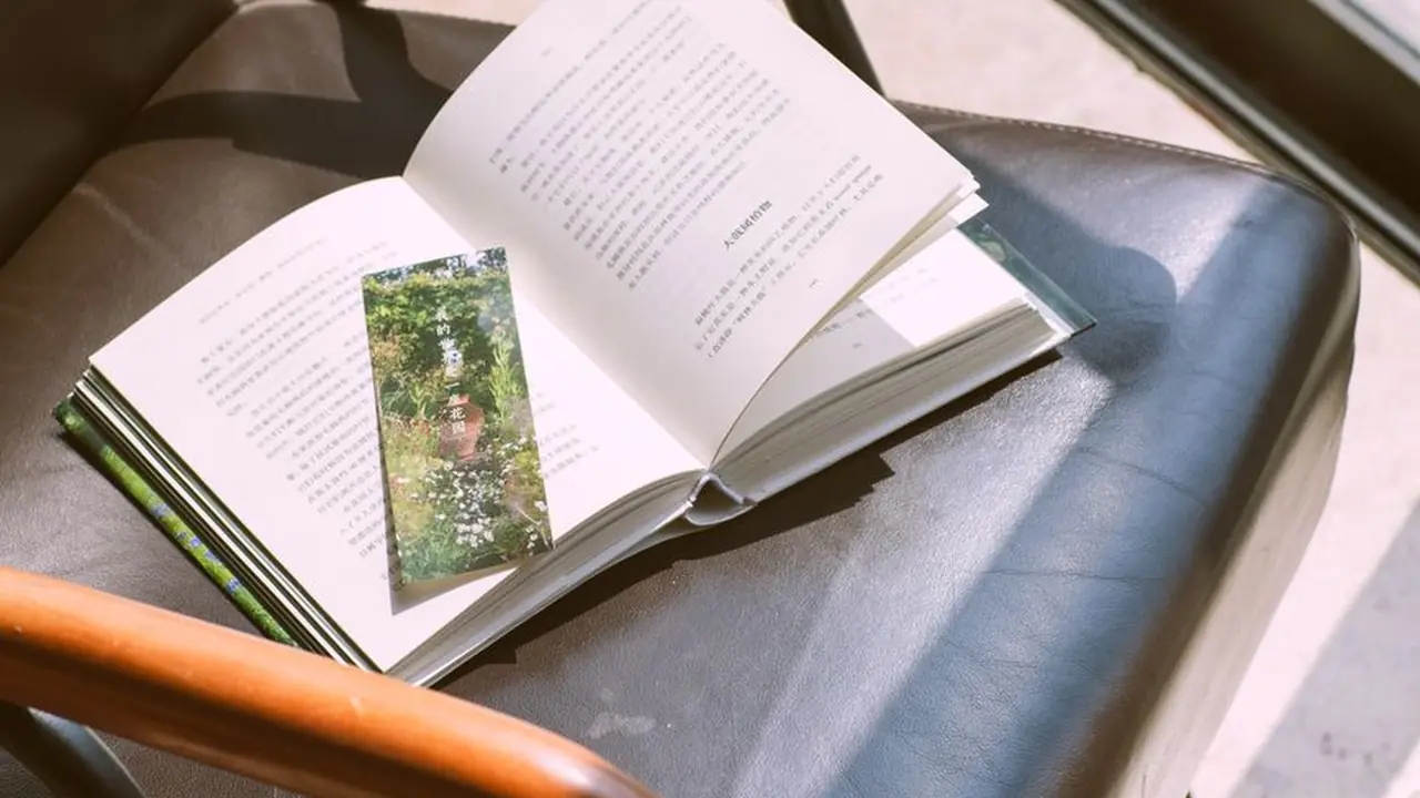 91美女网探索网络视觉盛宴的新选择